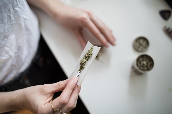 A woman holds ground cannabis in a rolling paper