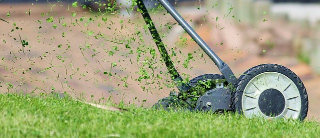 lawn mower in grass